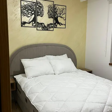 Forest 24 Apartment *
